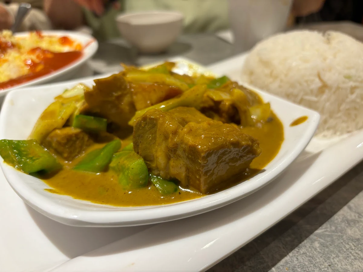 curry beef brisket with rice 咖喱牛腩饭, Golden Harbor Chinese Restaurant